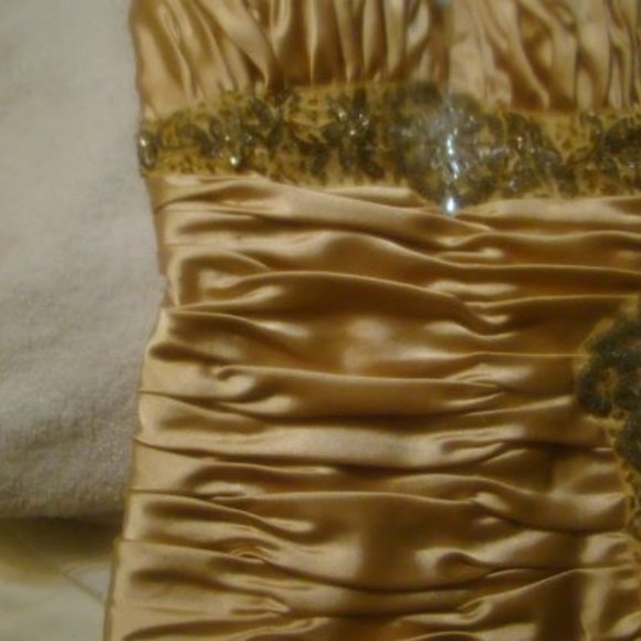 Stunning Retro Champagne Silk Dress - Picture 4 of 8